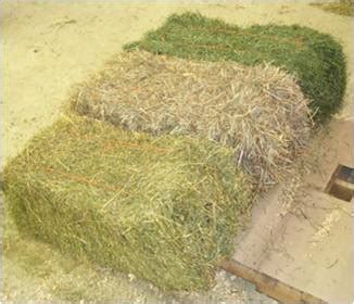 what are the charatoristics of good quality hay